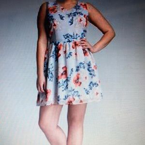 BB Dakota Dress